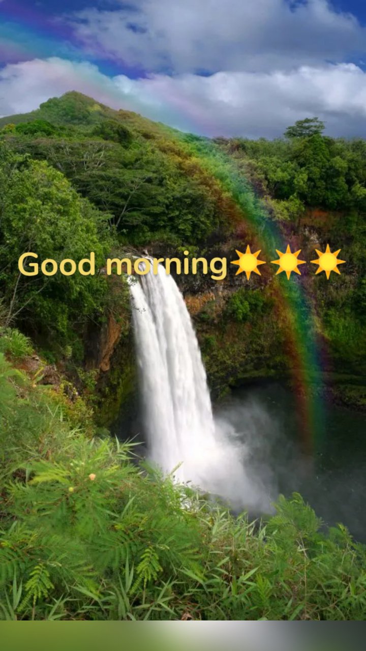 Good morning☀☀☀